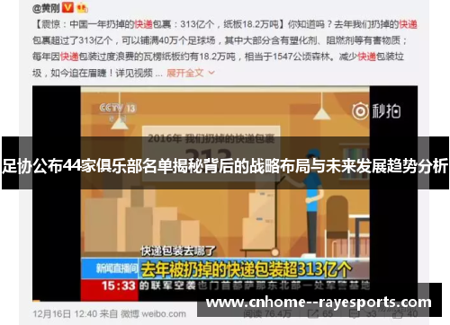 足协公布44家俱乐部名单揭秘背后的战略布局与未来发展趋势分析