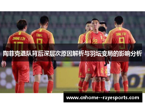 陶菲克退队背后深层次原因解析与羽坛变局的影响分析