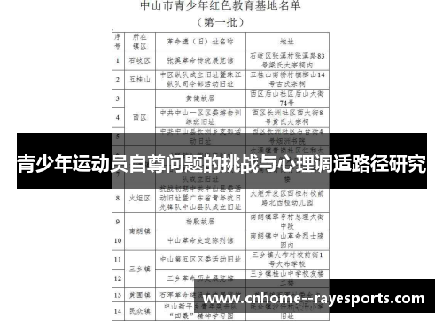 青少年运动员自尊问题的挑战与心理调适路径研究