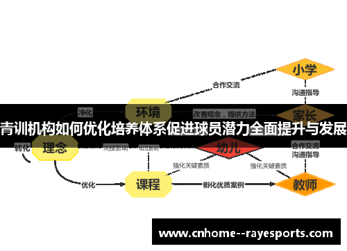 青训机构如何优化培养体系促进球员潜力全面提升与发展