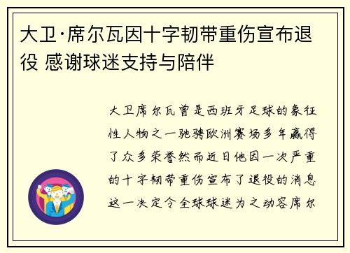 大卫·席尔瓦因十字韧带重伤宣布退役 感谢球迷支持与陪伴