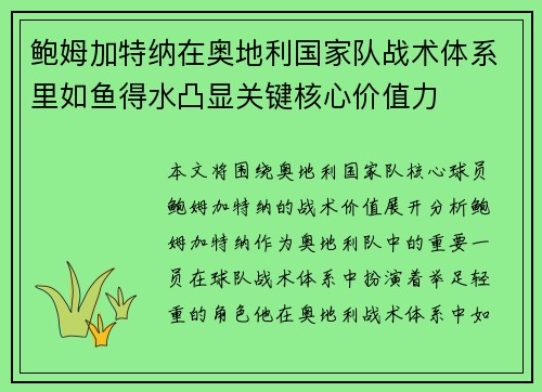 鲍姆加特纳在奥地利国家队战术体系里如鱼得水凸显关键核心价值力